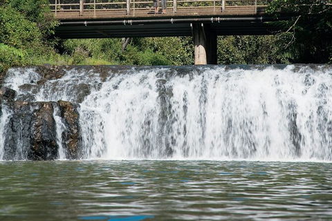 Tablelands Food & Wine Tour - E Caravan Parks 6
