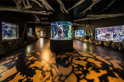 Cairns Aquarium By Twilight With 3 Course Dinner - E Caravan Parks 7