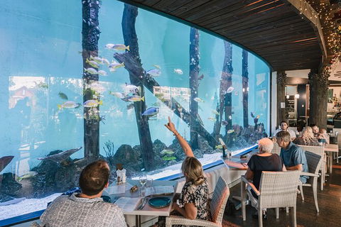 Cairns Aquarium Tour By Twilight With Drink And Appetiser - E Caravan Parks 1