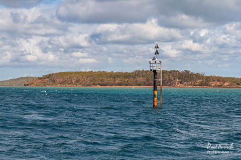 Sandy Straits Scenic & Wildlife Cruise - E Caravan Parks 6