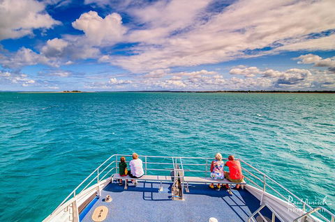 Sandy Straits Scenic & Wildlife Cruise - E Caravan Parks 7