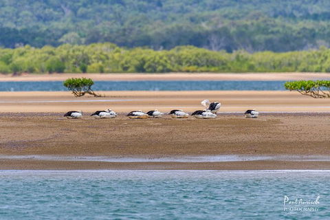 Sandy Straits Scenic & Wildlife Cruise - E Caravan Parks 3