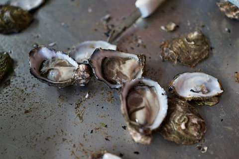 Fine Flavours - Full Day Kangaroo Island Food & Wine Tour - E Caravan Parks 10