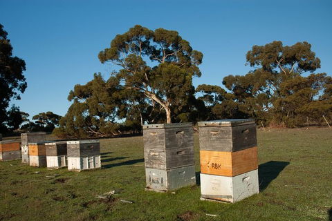 Fine Flavours - Full Day Kangaroo Island Food & Wine Tour - E Caravan Parks 5