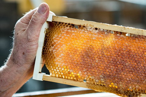 Fine Flavours - Full Day Kangaroo Island Food & Wine Tour - E Caravan Parks 0