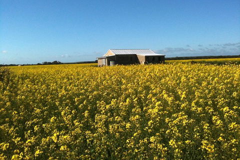 Fine Flavours - Full Day Kangaroo Island Food & Wine Tour - E Caravan Parks 11