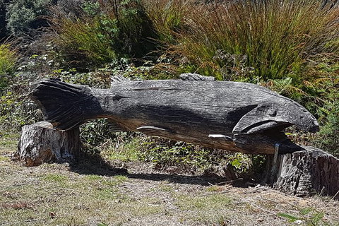 Cruise Ship Excursion: Gourmet Food & Wine - E Caravan Parks 10