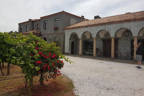 Cruise Ship Excursion: Gourmet Food & Wine - E Caravan Parks 18