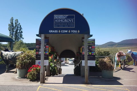 Cruise Ship Excursion: Gourmet Food & Wine - E Caravan Parks 8