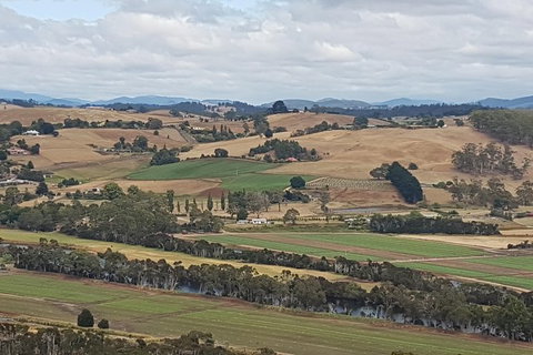 Cruise Ship Excursion: Gourmet Food & Wine - E Caravan Parks 6