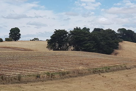 Cruise Ship Excursion: Gourmet Food & Wine - E Caravan Parks 9