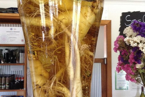 Cruise Ship Excursion: Gourmet Food & Wine - E Caravan Parks 14