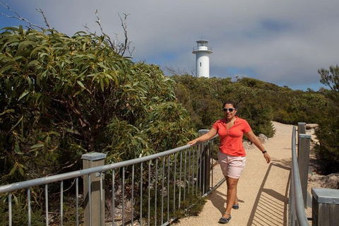 Half-Day Tour To Wineglass Bay From Launceston With Guide - E Caravan Parks 2