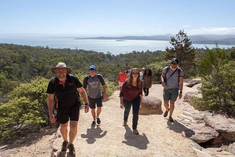 Half-Day Tour To Wineglass Bay From Launceston With Guide - E Caravan Parks 4