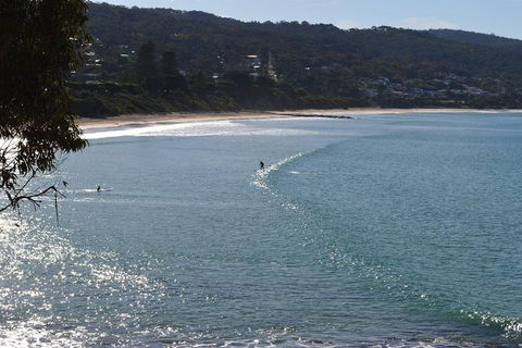 PRIVATE Great Ocean Road Tour And 12 Apostles With Wildlife Spotting - E Caravan Parks 6