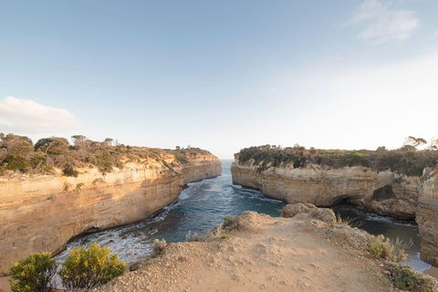 PRIVATE Great Ocean Road Tour And 12 Apostles With Wildlife Spotting - E Caravan Parks 1