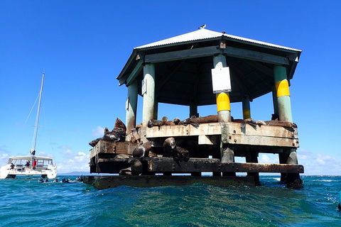 Sailing Cruise With Seals - E Caravan Parks 1