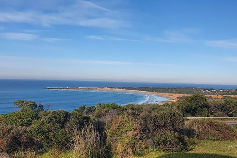 Private Great Ocean Road And Chocolaterie Tour With Tasting - E Caravan Parks 5