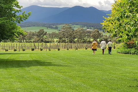 Yarra Valley Wine Tasting Day Tour From Melbourne - E Caravan Parks 6