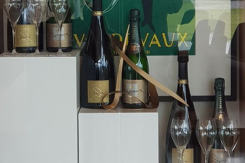 Yarra Valley Wine Tasting Day Tour From Melbourne - E Caravan Parks 2