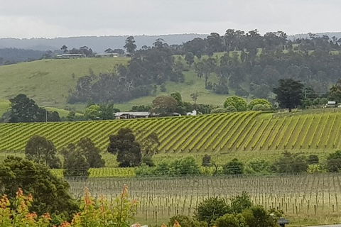 Yarra Valley Wine Tasting Day Tour From Melbourne - E Caravan Parks 0