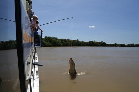 Darwin City Sights And Jumping Crocodile Cruise - E Caravan Parks 2