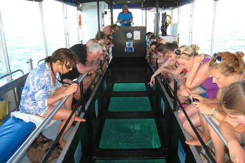 Coral Bay 1-Hour Coral Viewing - E Caravan Parks 3