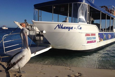 Coral Bay 1-Hour Coral Viewing - E Caravan Parks 0