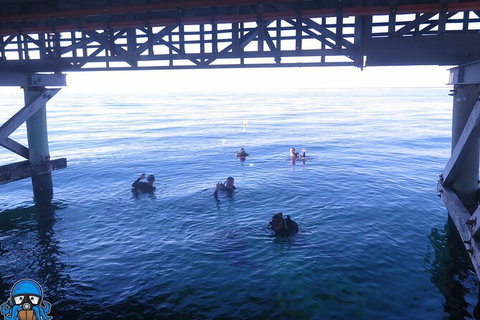 PADI Open Water Course - E Caravan Parks 3