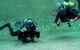 PADI Open Water Course - thumb 4
