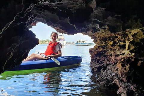 Cliffs And Caves Kayak Tour In Swan River - E Caravan Parks 3