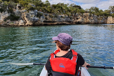 Cliffs And Caves Kayak Tour In Swan River - E Caravan Parks 1