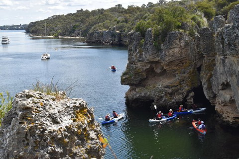 Cliffs And Caves Kayak Tour In Swan River - E Caravan Parks 2
