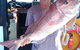 Geraldton Fishing Charter - thumb 10