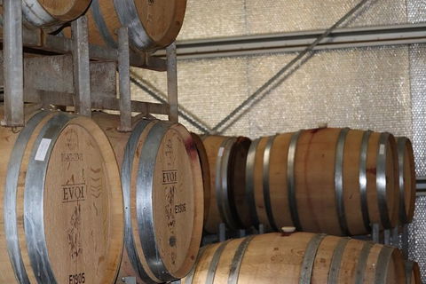 Small-Group Wine Tour In Margaret River With Tasting Plate - E Caravan Parks 1