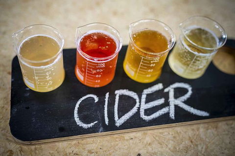 Bickley Valley Wine & Cider Tour - Premium Small Group Tour - E Caravan Parks 1