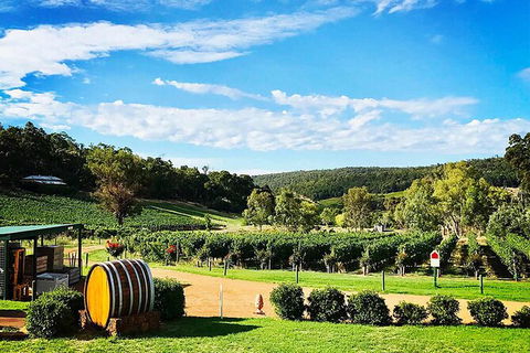 Bickley Valley Wine & Cider Tour - Premium Small Group Tour - E Caravan Parks 0