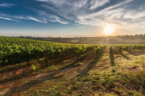 Perth To Margaret River Wine Tour - 2 Day Premium Boutique Wine Tour Experience - E Caravan Parks 0