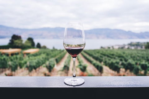 Full-Day Gourmet Wine Tour With Pick Up And Lunch - E Caravan Parks 1