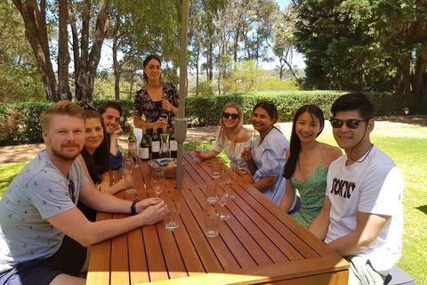 Full-Day Gourmet Wine Tour With Pick Up And Lunch - E Caravan Parks 5
