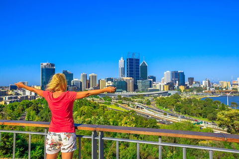 Full-Day Gourmet Wine Tour With Pick Up And Lunch - E Caravan Parks 2