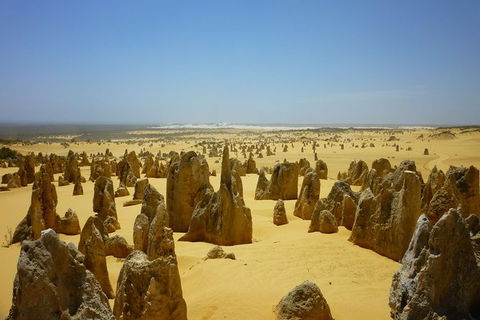Pinnacles Desert Private Tour - E Caravan Parks 5