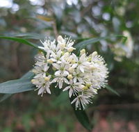 Booderee National Park - E Caravan Parks