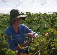 Kingsdale Wines - E Caravan Parks