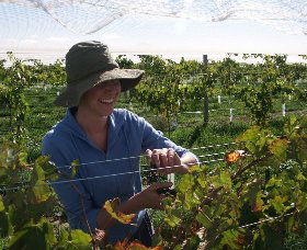Kingsdale Wines - E Caravan Parks 0