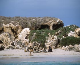 Jurien Bay Marine Park - E Caravan Parks 0