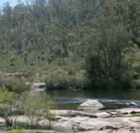 Wellington Discovery Forest - E Caravan Parks