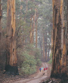 Callcup WA E Caravan Parks
