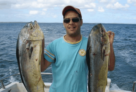 Jervis Bay Fishing and Charters - E Caravan Parks