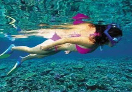 Deep Sea Divers Den - E Caravan Parks 1